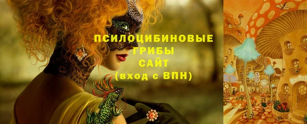 СК Переславль-Залесский